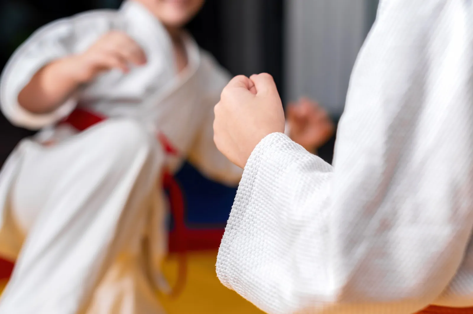 Welcome to Iron Dragon Black Belt Academy
